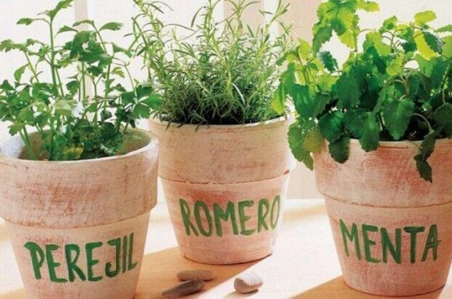 6 plantas para aromatizar tu hogar que son fáciles de cultivar