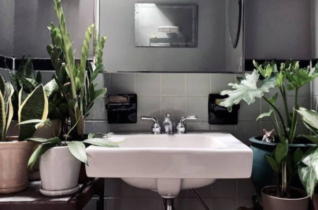 Las mejores plantas para tener en el baño y decorarlo