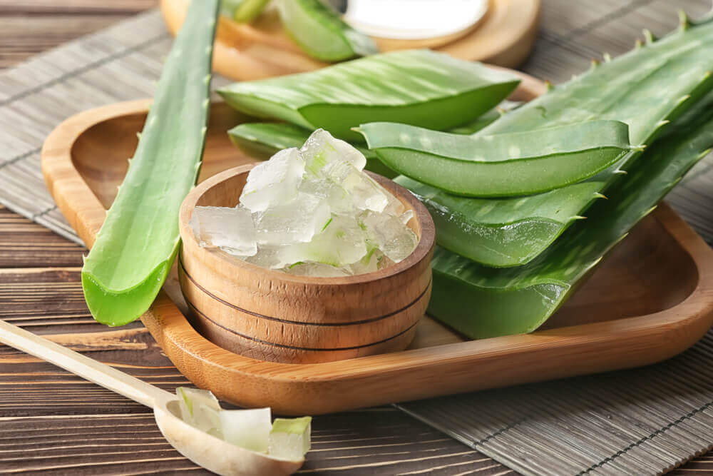 cómo hacer crema de aloe vera