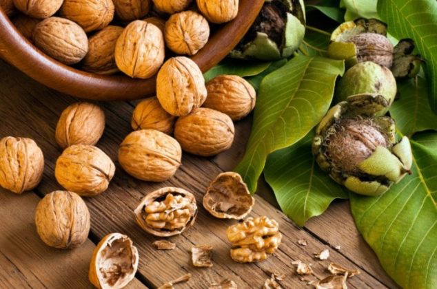 Cómo cultivar nueces en maceta, ¡en 3 sencillos pasos!