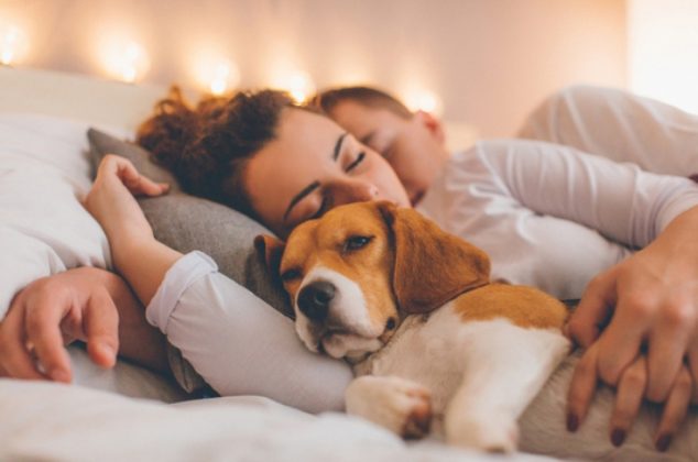 5 beneficios a la salud de dormir con el perro en la cama