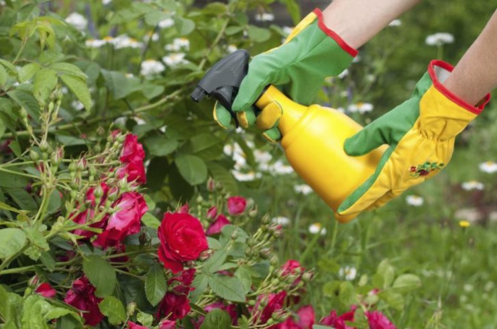 fertilizante líquido casero