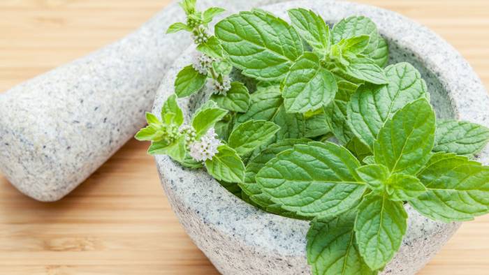 Cómo hacer mascarilla de menta para disminuir las ojeras 0