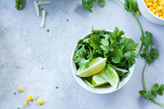 té de cilantro