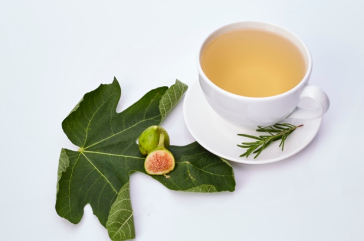 té de hojas de higo