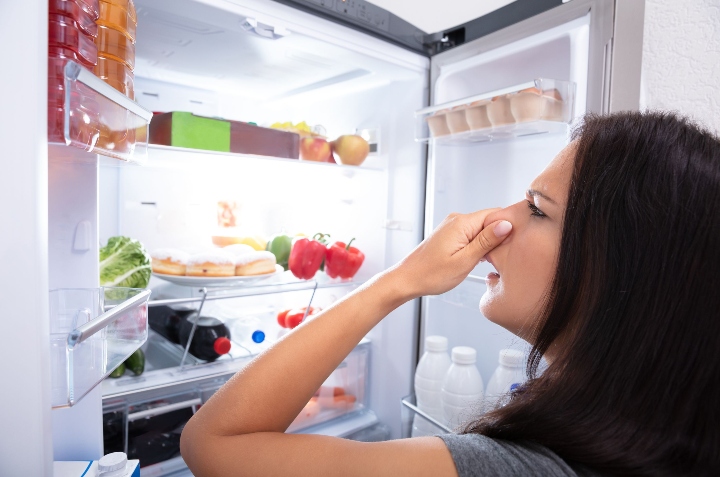 malos olores dentro del refrigerador