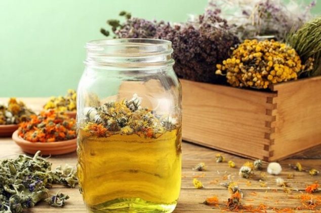 4 plantas antiinflamatorias para quitar el dolor corporal y tés que puedes preparar