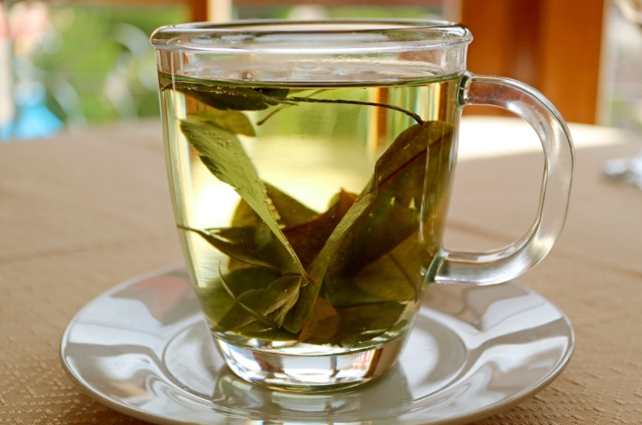 te de hoja de guayaba