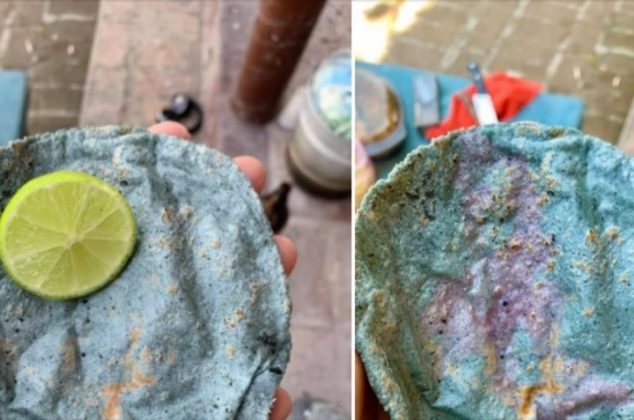 ¿De dónde viene el maíz azul y cómo identificar tortillas azules falsas?