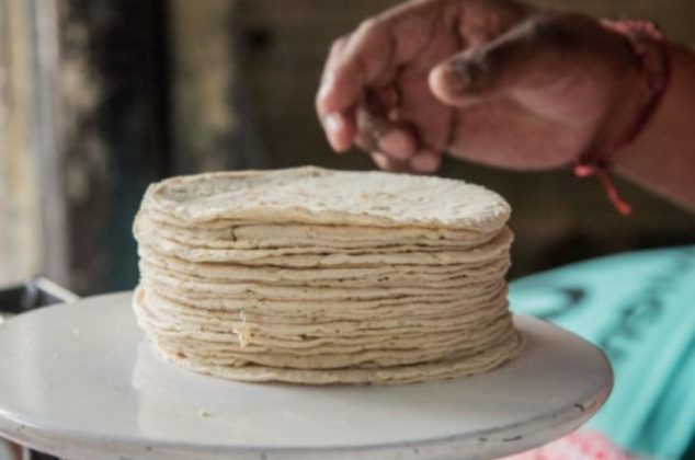 ¿Tortillas de maíz falsas? Cómo identificar si tiene mucha cal o no son de maíz