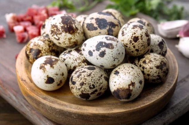 Beneficios y contraindicaciones de comer huevos de codorniz