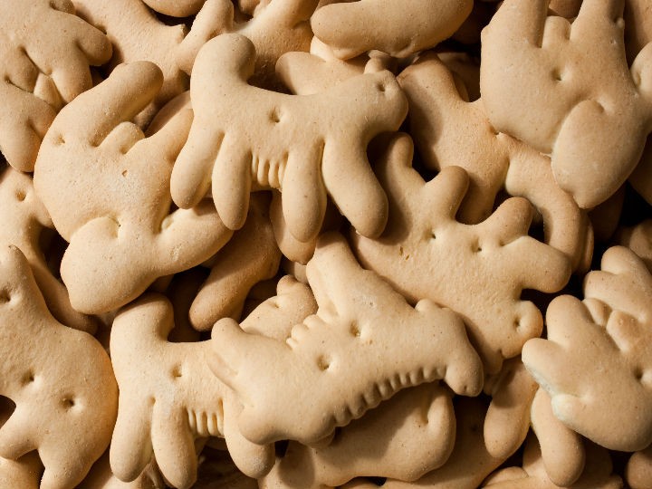 historia galletas de animalitos