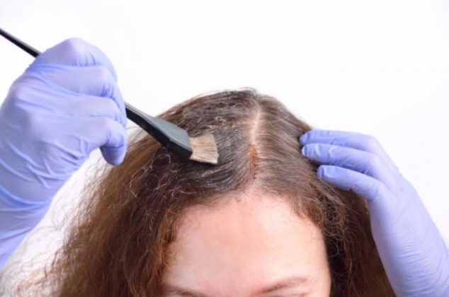 ¿Hojas de nogal para pintar canas? Checa cómo preparar este tinte casero