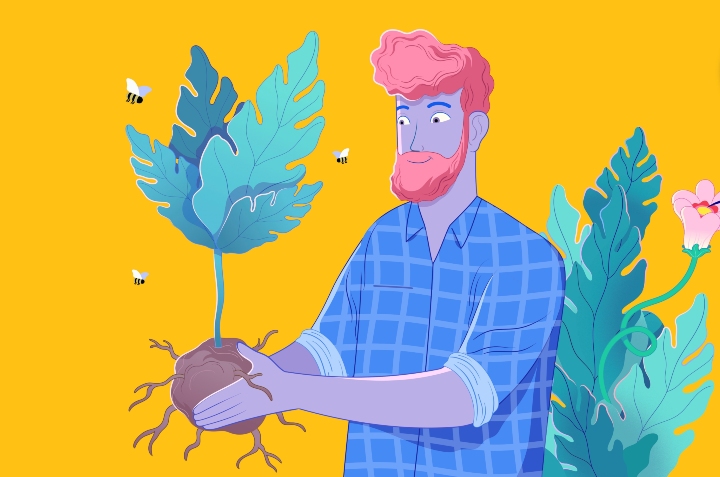 alimentos medio ambiente