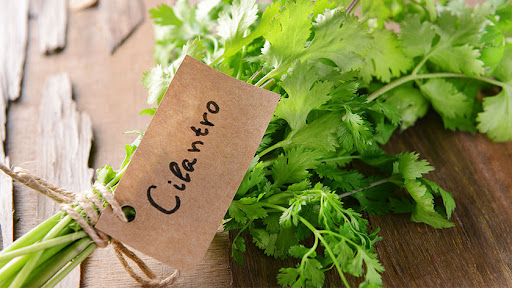 beneficios del cilantro