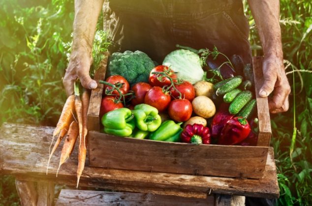 10 verduras que puedes cultivar en menos de 60 días