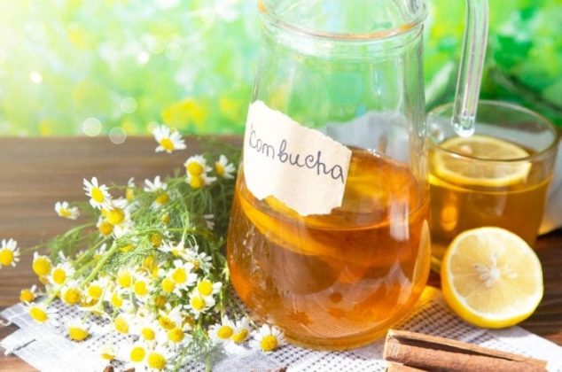 ¿Qué es el té de kombucha y cuáles son sus beneficios para la salud?