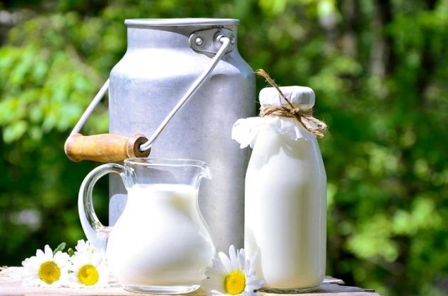 5 usos y beneficios de la leche para el cuidado de las plantas