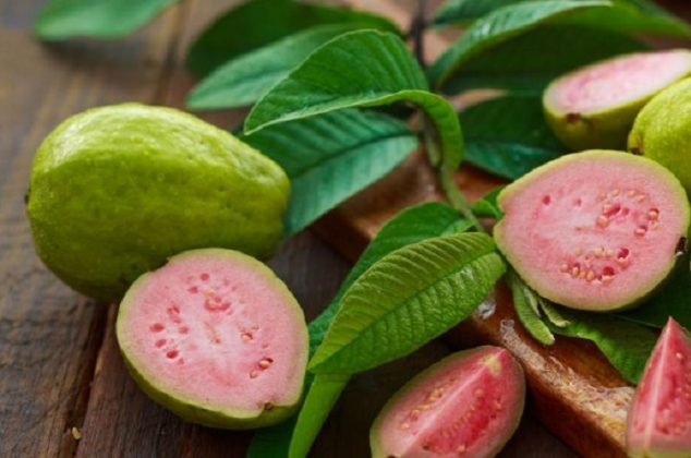 6 beneficios de las hojas de guayaba para tu salud