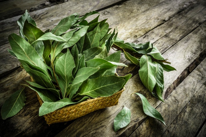 hoja de laurel para eliminar malos olores