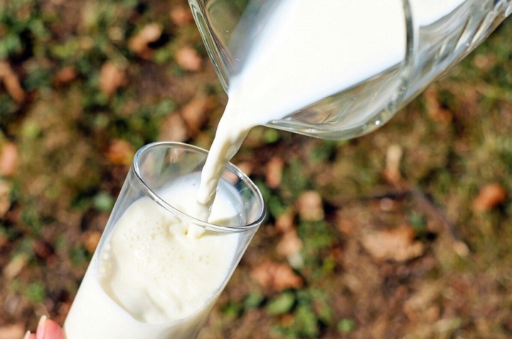 5 usos y beneficios de la leche para el cuidado de las plantas 0