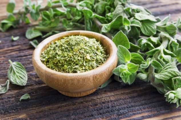 Cómo cultivar orégano en maceta para aromatizar la casa