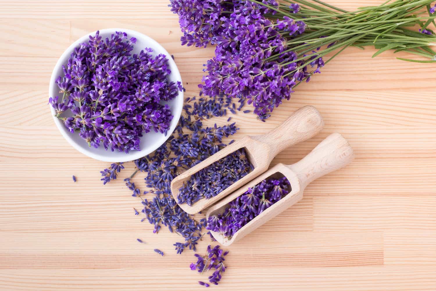 beneficios de la lavanda