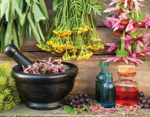 mejores antibióticos naturales