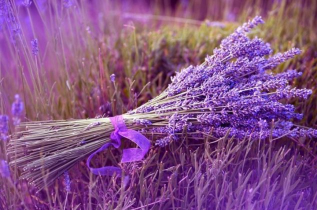 6 increíbles beneficios de la lavanda para la piel y la salud