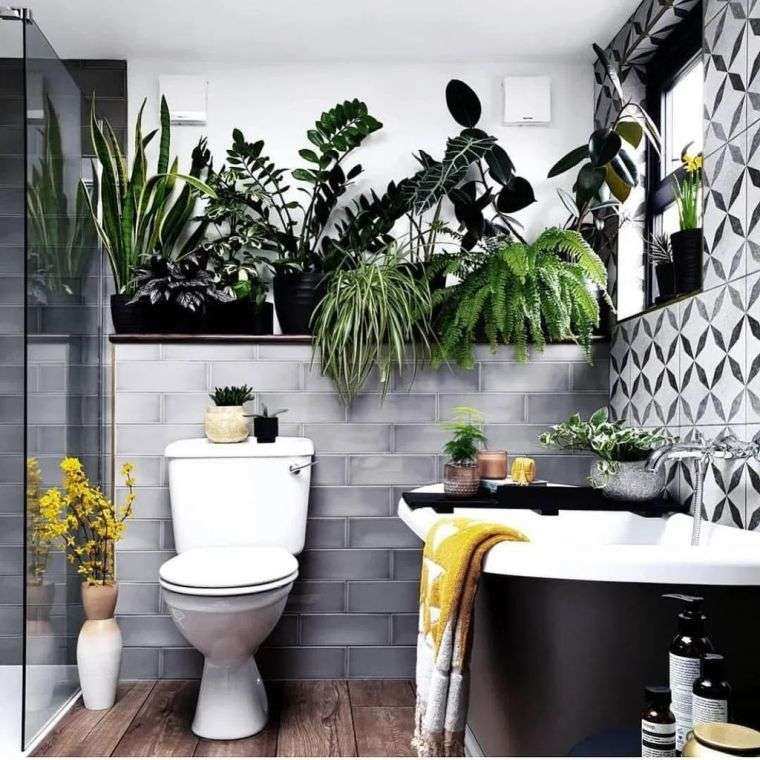 plantas malos olores del baño