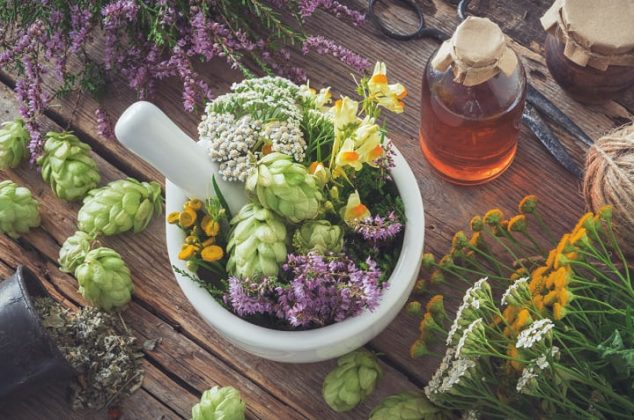 Estas son las plantas que te ayudarán a cuidar tu piel