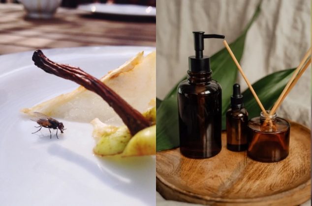 3 aromatizantes caseros para ahuyentar moscas y mosquitos de casa