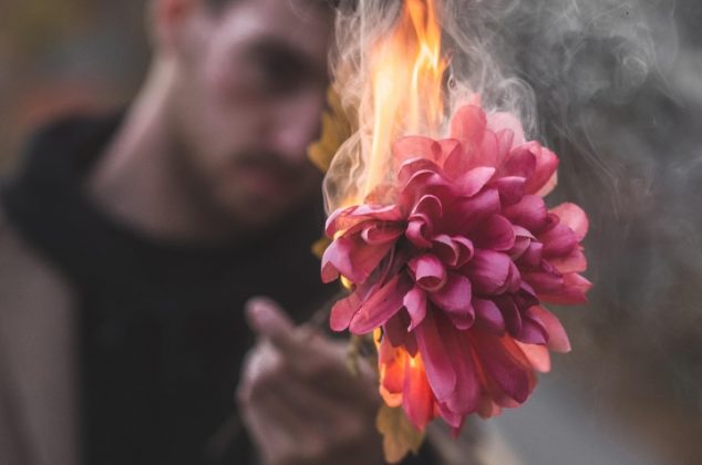 4 increíbles beneficios de quemar pétalos de rosa en tu casa