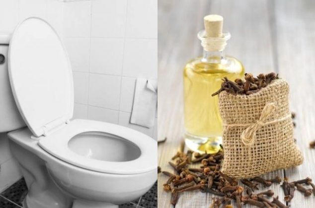 Truco casero para quitar el aroma a pipí del baño con clavos de olor