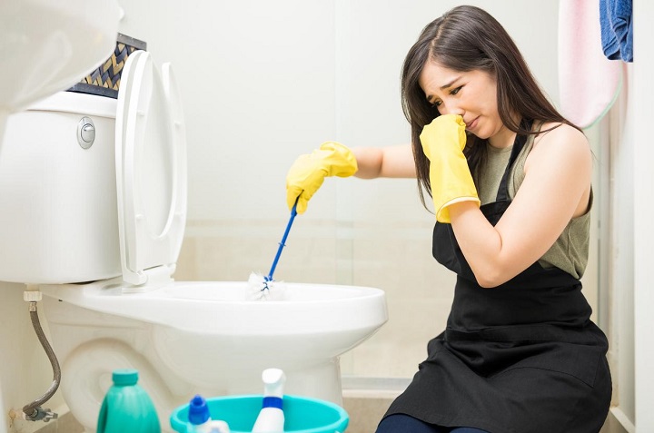 Truco casero para quitar el aroma a pipí del baño con clavos de olor 0