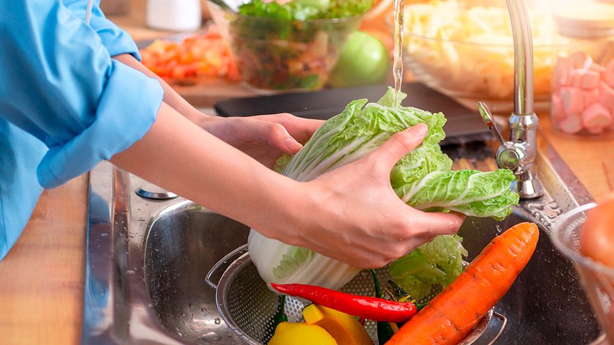 alimentos congelados