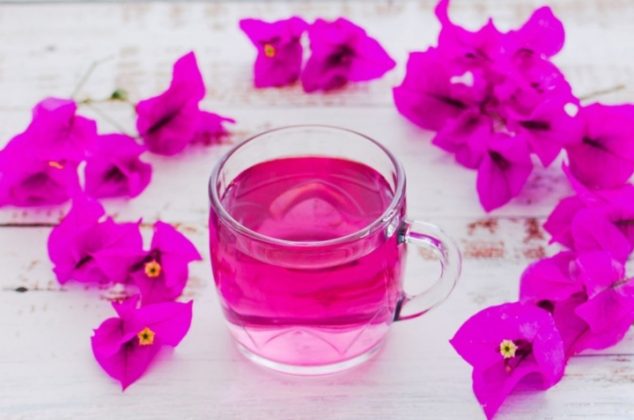 Cómo preparar té de bugambilia: beneficios y contraindicaciones para tu salud