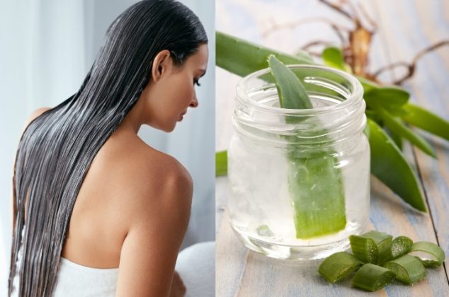 Cómo hacer tratamiento casero con aloe vera para detener la caída del  cabello | Cocina Vital