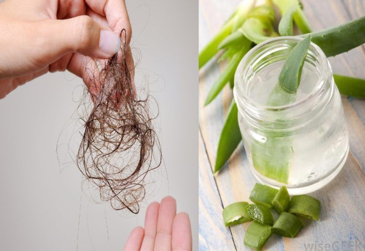 Cómo hacer tratamiento casero con aloe vera para detener la caída del  cabello | Cocina Vital