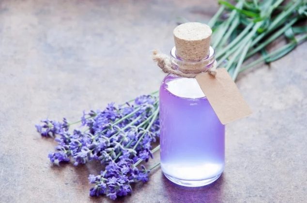 Cómo trapear con lavanda para ahuyentar cucarachas y arañas de casa