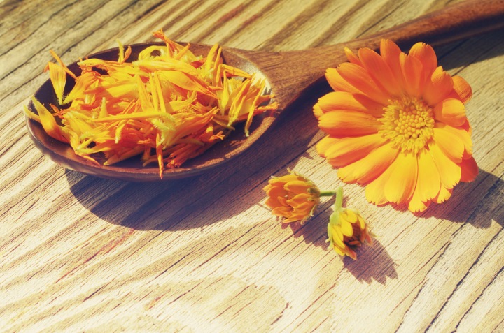 flores de calendula