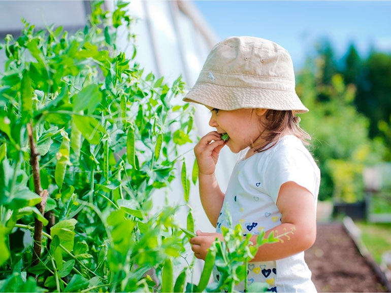 plantas tóxicas para niños