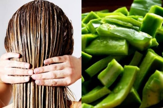 Baba de nopal: El mejor remedio para tener un cabello largo y hermoso