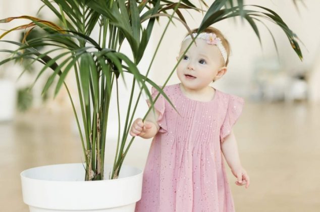 8 plantas que pueden ser tóxicas para los niños y tienes en casa