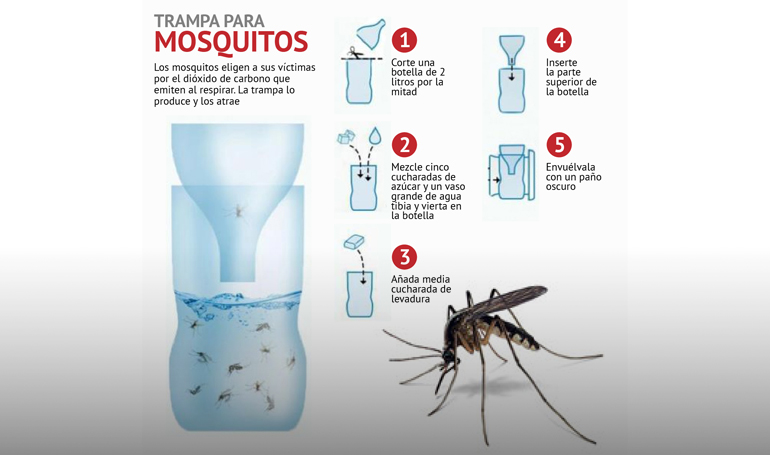 cómo hacer trampa para mosquitos 