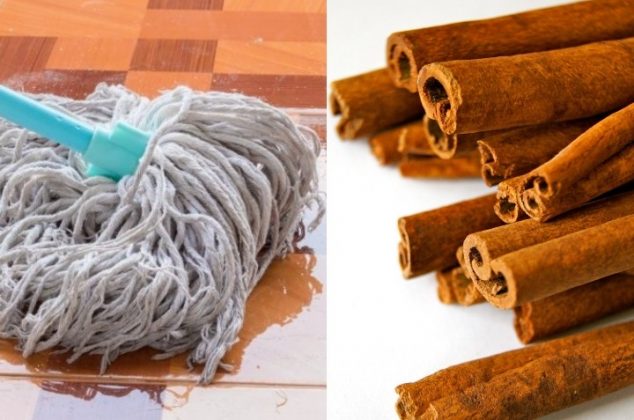 Beneficios y cómo limpiar tu casa con canela y vinagre blanco