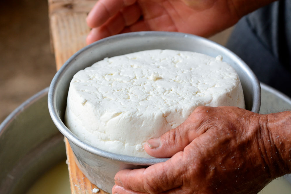 Módulo 1: ¿Qué es el queso?
