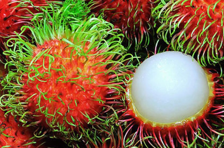 beneficios del rambután