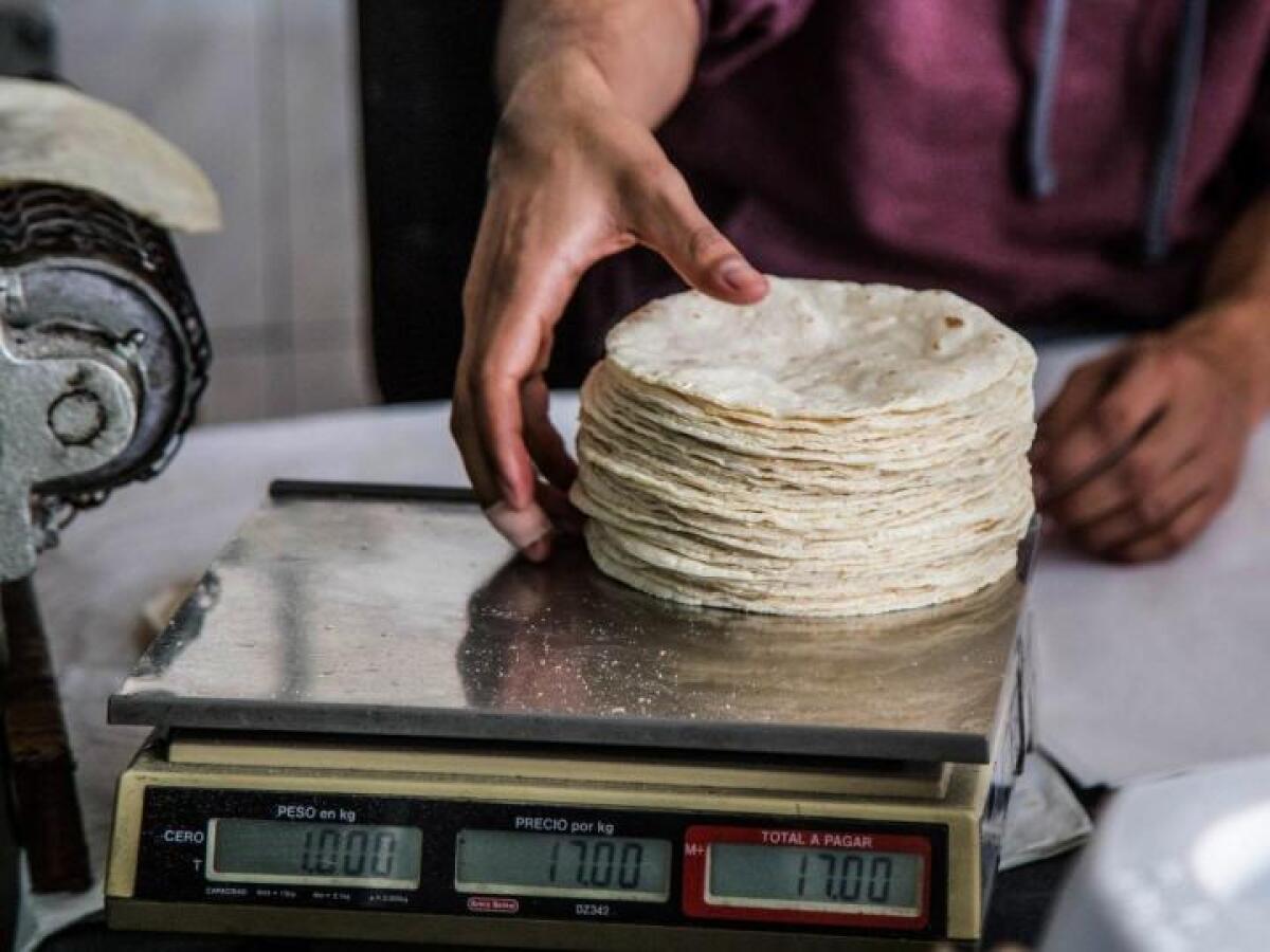 kilo de tortilla profeco