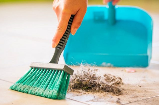 Cómo hacer un recogedor de basura con solo una botella de plástico